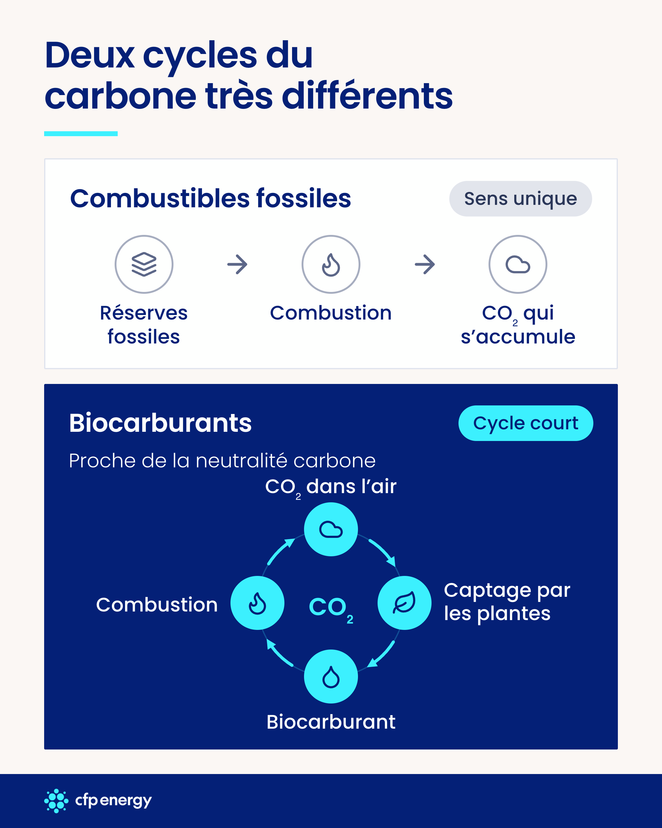 Cycle du carbone biocarburants