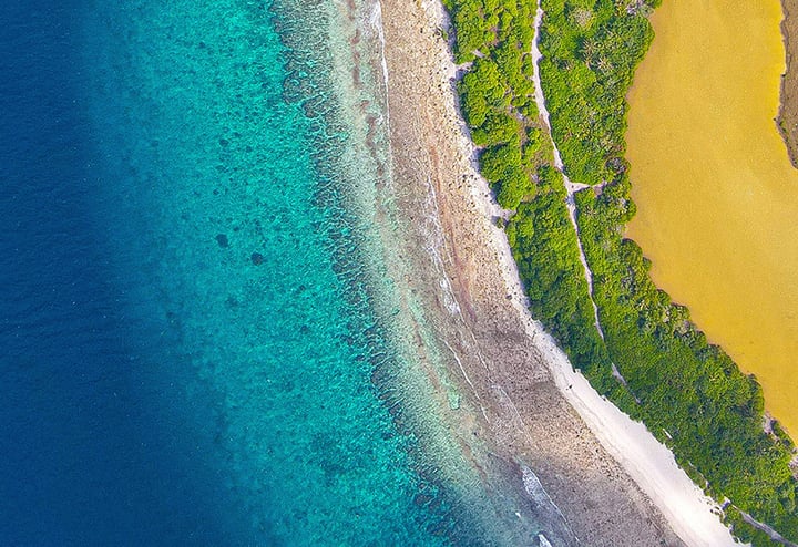 voluntary_carbon_market