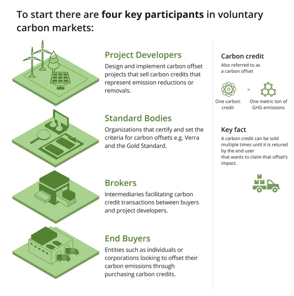 voltunary carbon market infographic