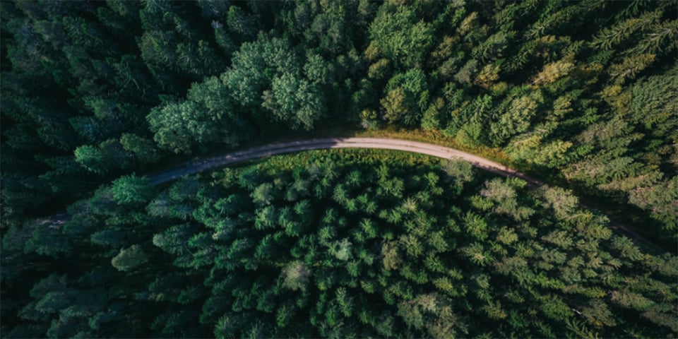 voluntary carbon market update