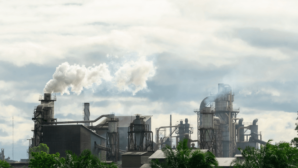 carbon allowances