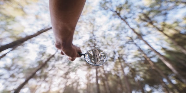 voluntary carbon markets forest restoration