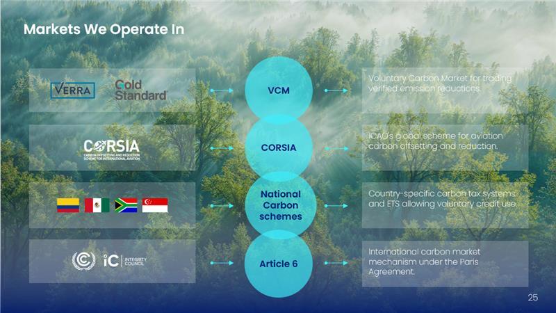 different type of carbon credits