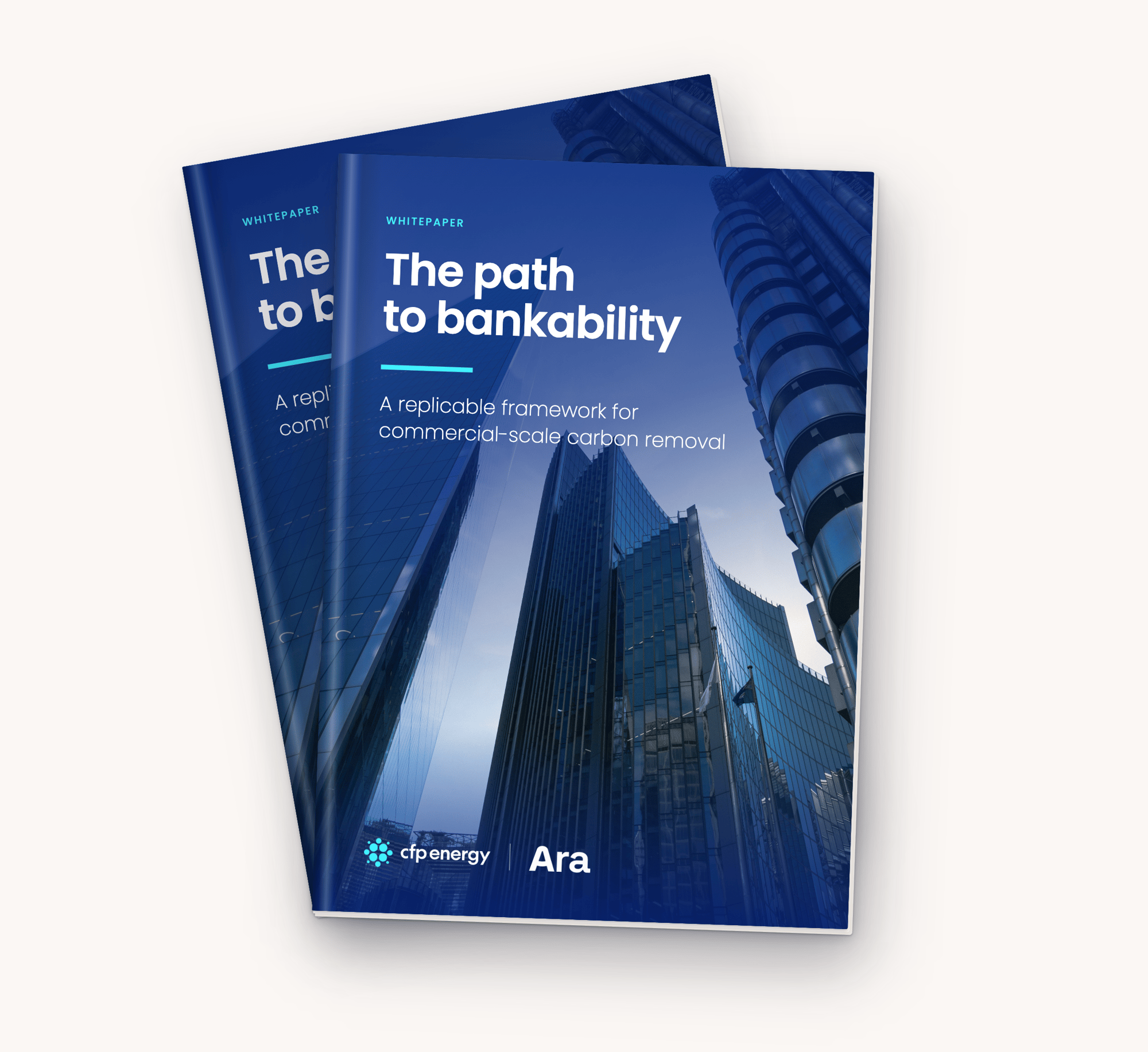 path-to-bankability-lead-magnet path-to-bankability-lead-magnet