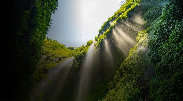 internal carbon price