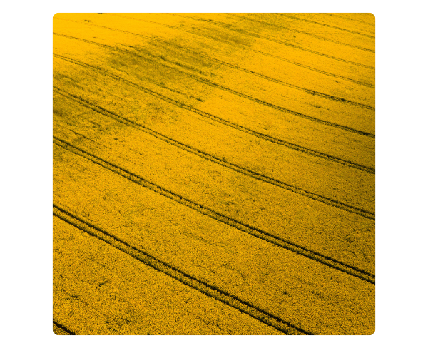 How are biofuels made?