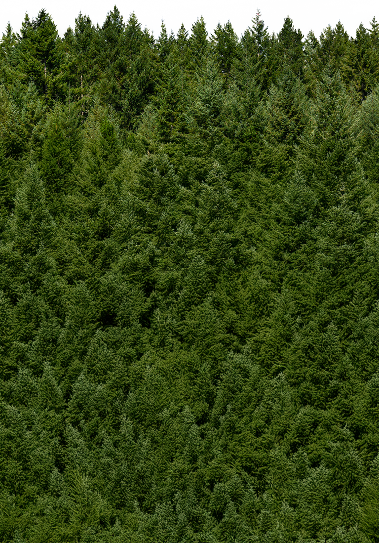 Parallax Foreground