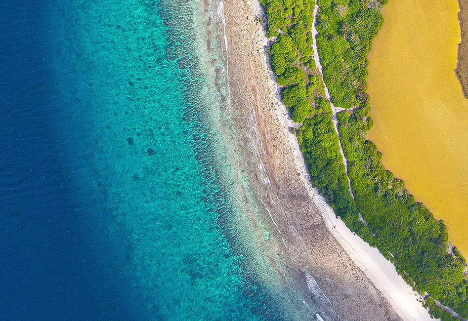 voluntary_carbon_market