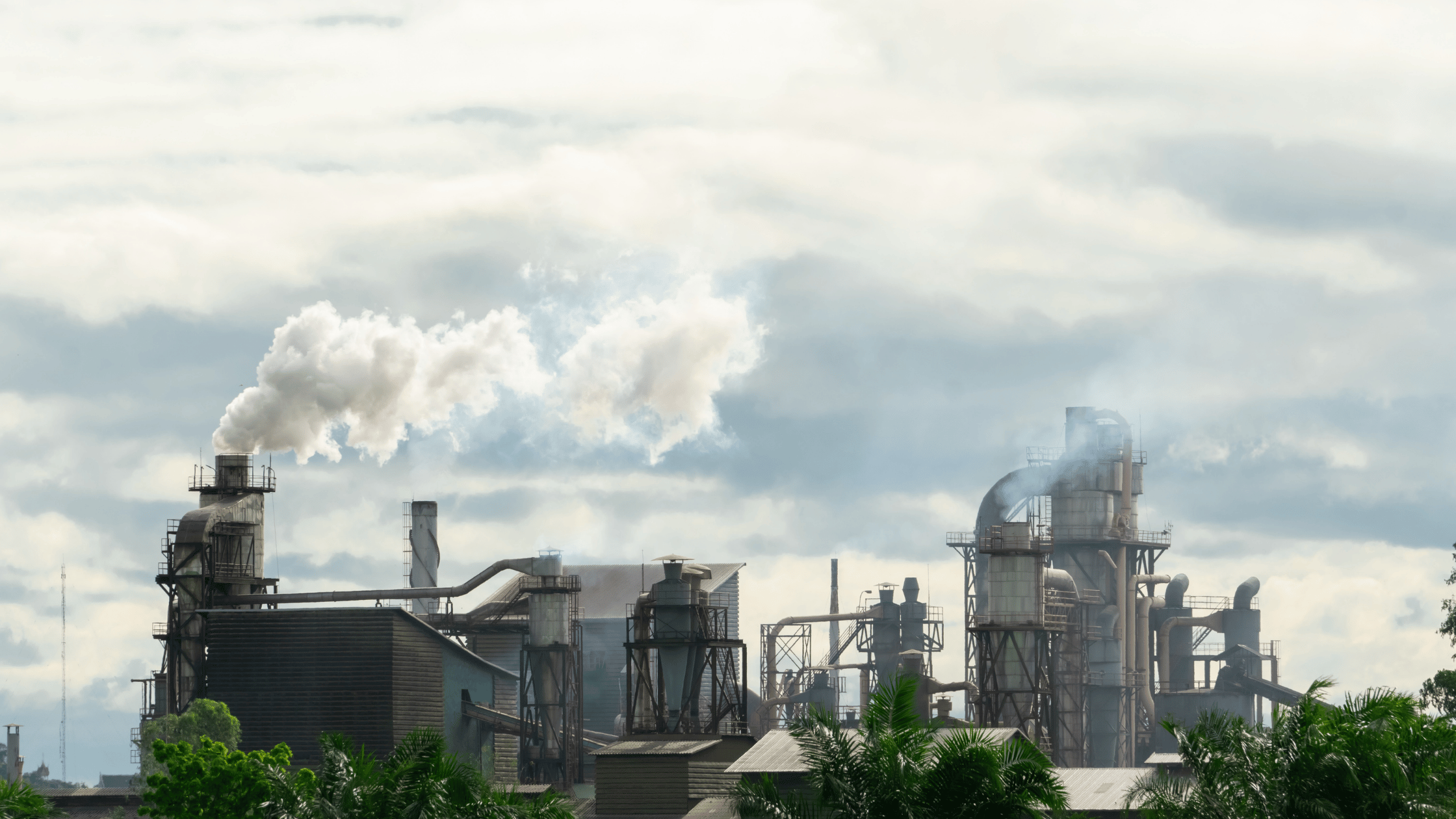 carbon allowances