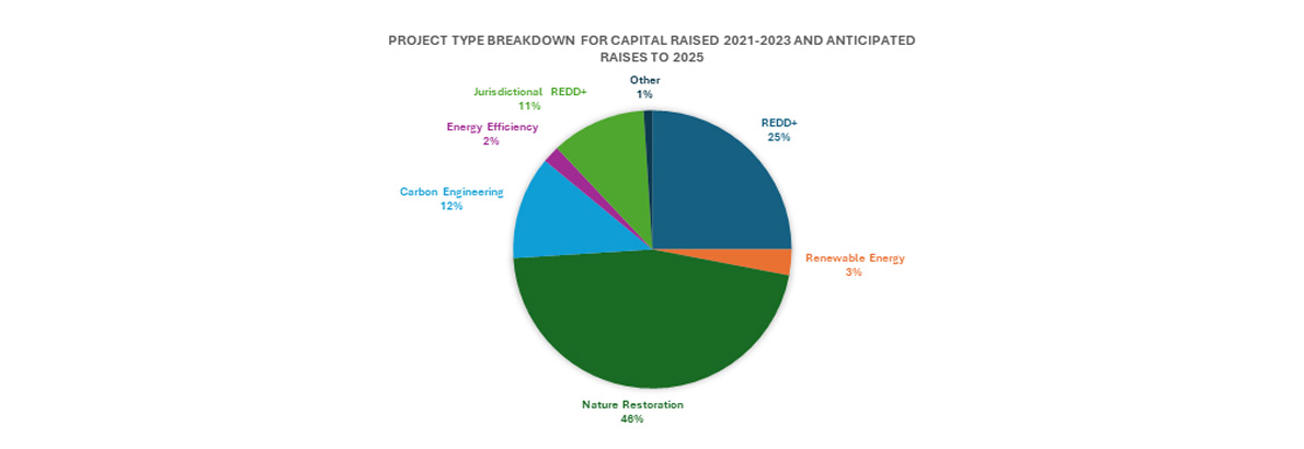 carbon project investment graph